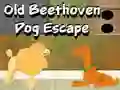 Spiel Flucht des alten Beethoven-Hundes Online