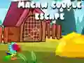 Spiel Flucht des Arar-Paares Online Spiel Flucht des Arar-Paares Online