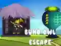 Spiel Buho Eule Flucht Online Spiel Buho Eule Flucht Online
