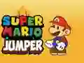 Spiel Super Mario Springer Online