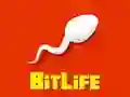 Spiel BitLeben Online