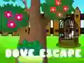 Spiel Taubenflucht Online Spiel Taubenflucht Online