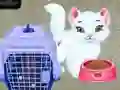 Spiel Baby Taylor: Haustierpflege Online Spiel Baby Taylor: Haustierpflege Online