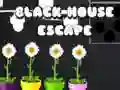 Spiel Flucht aus dem Schwarzen Haus Online