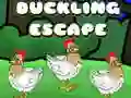 Spiel Entenflucht Online Spiel Entenflucht Online
