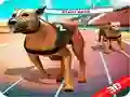 Spiel Verrücktes Hund Rennen Online Spiel Verrücktes Hund Rennen Online