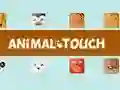 Spiel Tier Toush Online Spiel Tier Toush Online