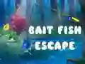 Spiel Bait Fish Escape Online Spiel Bait Fish Escape Online