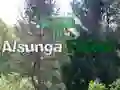 Spiel Rückkehr zum Alsunga-Wald Online Spiel Rückkehr zum Alsunga-Wald Online