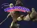 Spiel Ninja Turtles Merkspiel Online