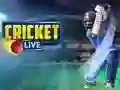 Spiel Cricket Live Online Spiel Cricket Live Online