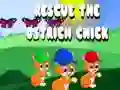 Spiel Rette das Straußküken Online Spiel Rette das Straußküken Online