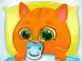 Spiel Liebenswerter virtueller Kater Online