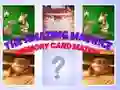Spiel Das Erstaunliche Maurice Kartenmatch Online