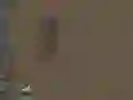 Spiel Das Überleben Online