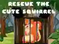 Spiel Rette das süße Eichhörnchen Online Spiel Rette das süße Eichhörnchen Online