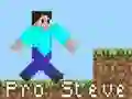 Spiel Pro Steve Online