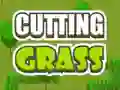 Spiel Gras schneiden Online Spiel Gras schneiden Online