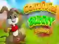 Spiel Geselliges Kaninchen Ent逃 Online