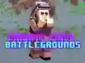 Spiel Private Pixel-Schlachtfelder Online Spiel Private Pixel-Schlachtfelder Online