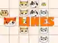 Spiel Katzenlinien Online Spiel Katzenlinien Online