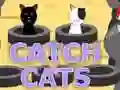 Spiel Katzen Fangen Online Spiel Katzen Fangen Online