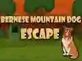 Spiel Flucht des Berner Sennenhundes Online