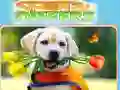 Spiel Finde und Unterschiede Online Spiel Finde und Unterschiede Online