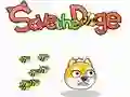 Spiel Rette Den Doge Online Spiel Rette Den Doge Online