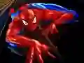 Spiel Spider-Man Puzzle Online