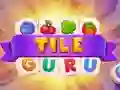Spiel Fliesen Guru Online Spiel Fliesen Guru Online