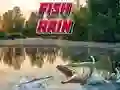 Spiel Fischregen Online