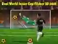 Spiel Echter Weltmeisterschaft Fußball Flicker 3D 2023 Online
