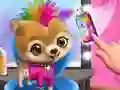 Spiel Rockstar Tierhaarsalon Online