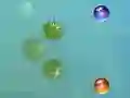 Spiel Meine Abenteuer Online
