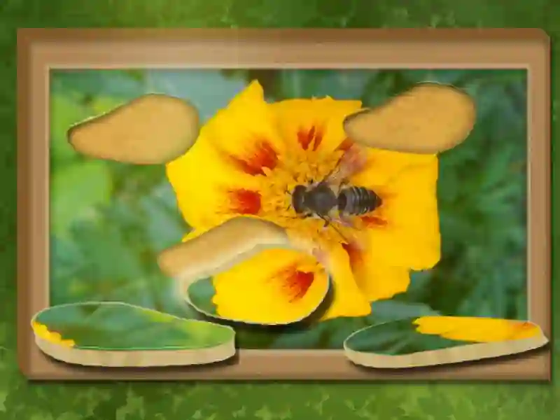 Spiel Finden & wiederherstellen: verstecktes Puzzle Online