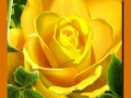 Spiel Gelbe Rosen Online