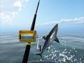 Spiel Azurblaues Meer Angeln Online