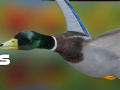 Spiel Entenjagd: Herbstwald Online