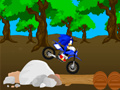 Spiel Cross Sonic Rennen Online