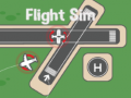 Spiel Flugsimulator Online