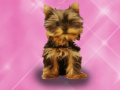 Spiel Haustiere waschen Prinzessin Kinder Online