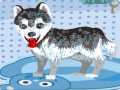 Spiel Mein süßer Hund beim Baden Online
