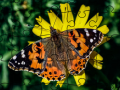 Spiel Puzzle: Frühling Online