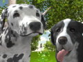 Spiel Hundesimulator 3D Online