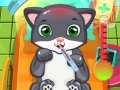Spiel Katze Doktor Online