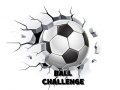 Spiel Ball-Herausforderung Online