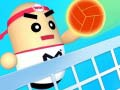 Spiel Erstaunlicher Volleyball Online