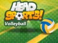 Spiel Head Sports Volleyball Online