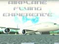 Spiel Flugerfahrung mit dem Flugzeug Online